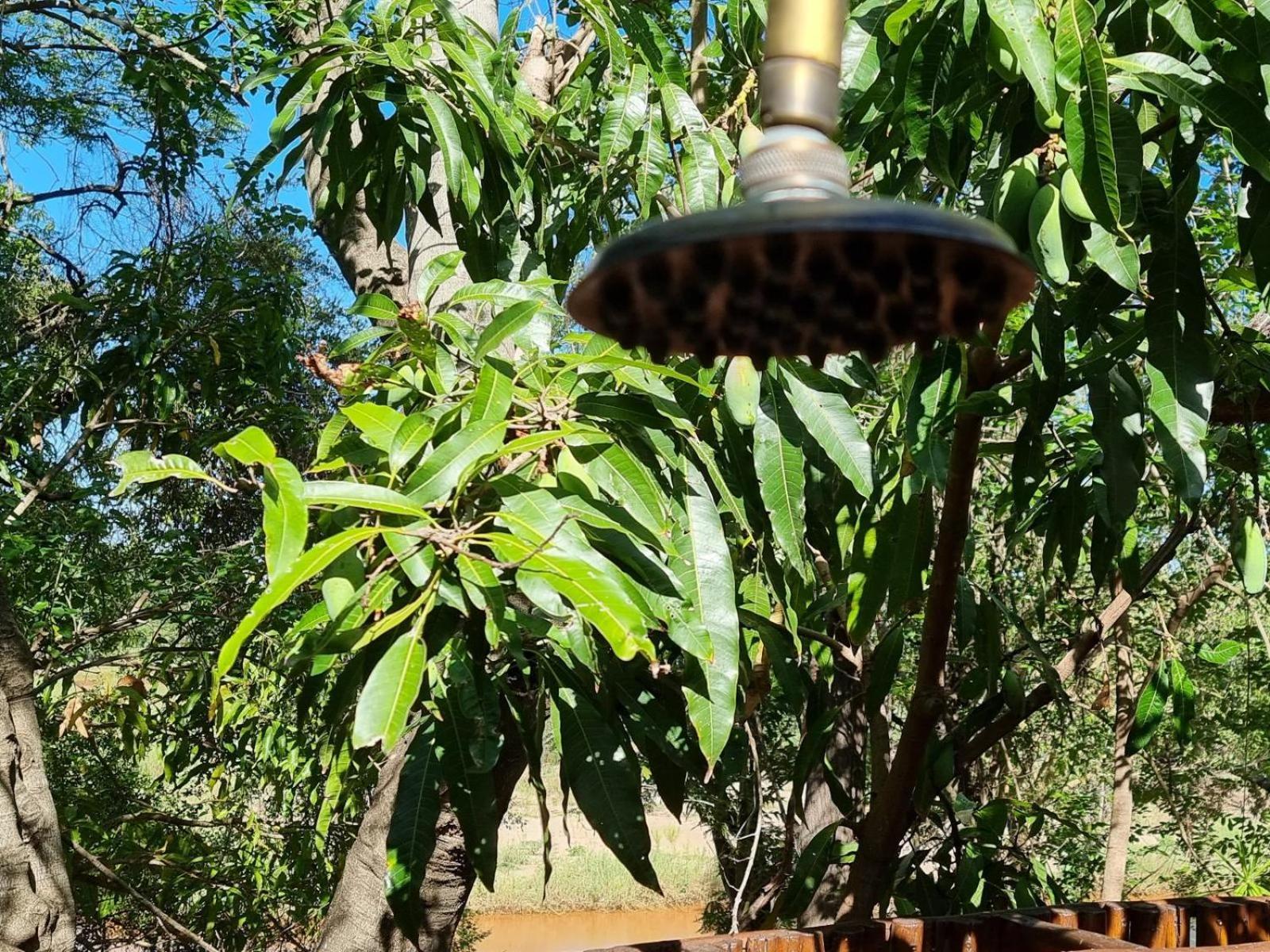Paradise River Lodge 侯斯普瑞特 外观 照片